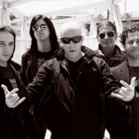 Infected Mushroom