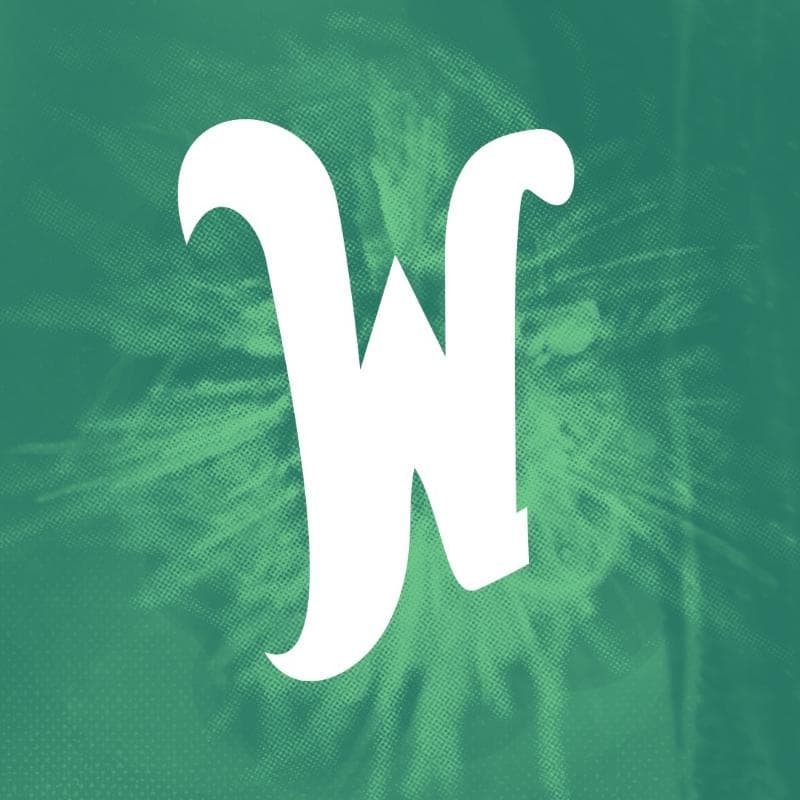 Wonderfruit Festival