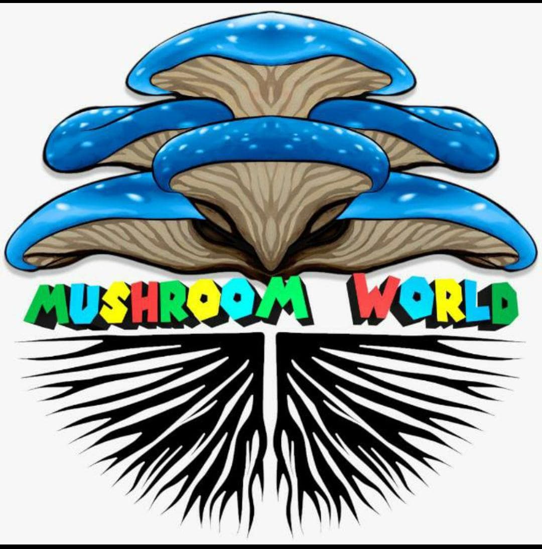 Mushroom World Festival - Special World Edition