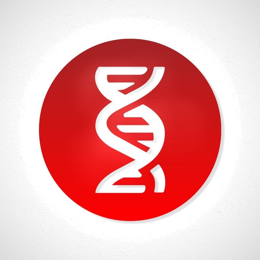 Hardstyle DNA