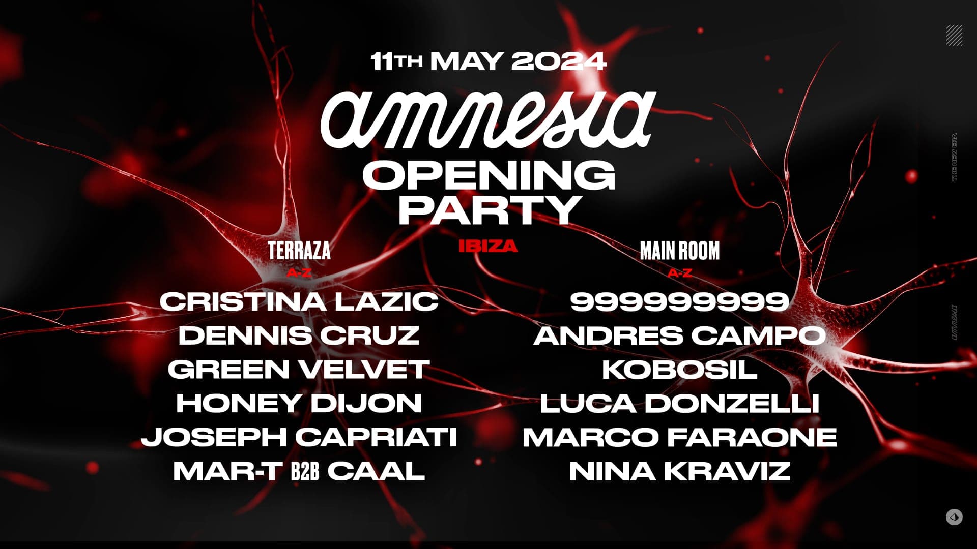 Amnesia Opening Party