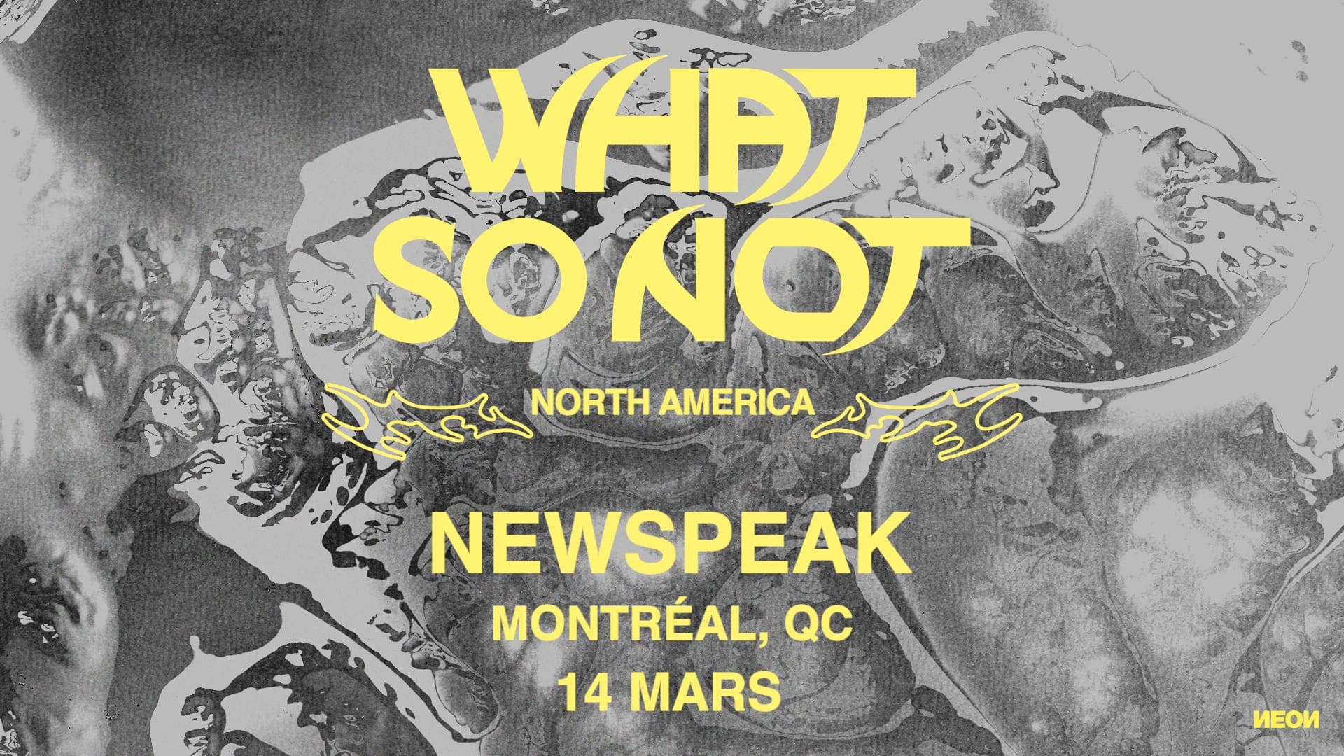 What So Not