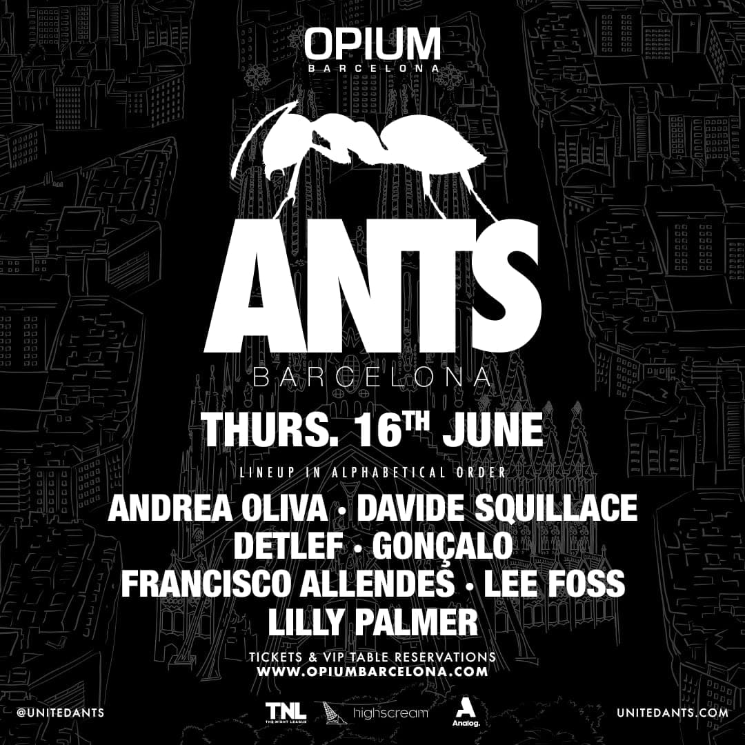 Ants - Off Week
