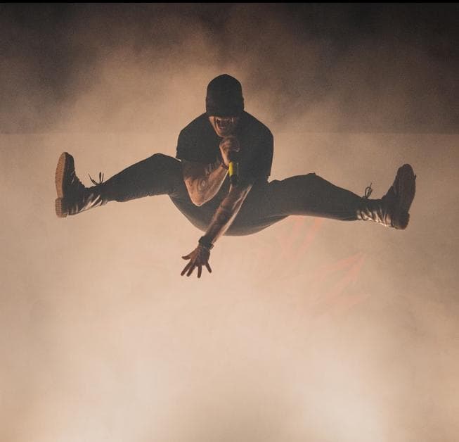 The Bloody Beetroots